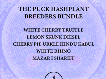 Sell: THE PUCK Hashplant Breeders Bundle - 75+ Seeds