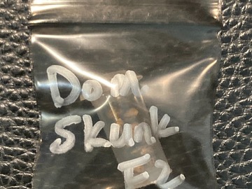 Auction: Dominion Skunk F2 *LAST ONE* - Dominion Seed Co.
