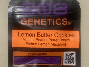 Auction: Lemon Butter Cookies (PBB x Lemon Macarons) - 808 Genetics