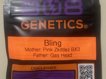 Auction: Bling (Pink Zkittlez BX3 x Gas Head) - 808 Genetics