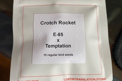 Vente: Crotch rocket e85x temptation lit farms