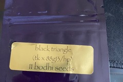 Vente: Black triangle bodhi