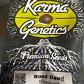Vente: Road dog karma genetics