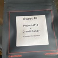 Vente: Sweet 16 project 4516 x grandi candy lit farms