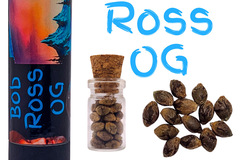 Vente: Bob Ross OG (feminized) 3 seeds per pack.