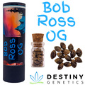 Sell: Bob Ross OG (feminized) 3 seeds per pack.