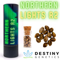Venta: Northern Lights R2 (feminized) 3 seeds per pack.