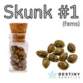 Sell: Skunk #1 (feminized) 3 seeds per pack.