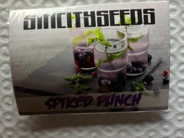 Enchères: (AUCTION) Spiked Punch from Sin City