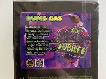 Vente: Dumb Gas from Exotic Genetix