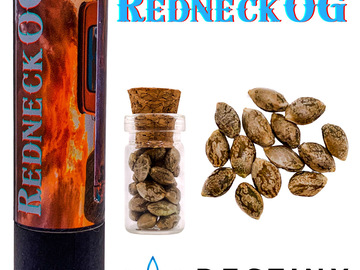 Vente: Redneck OG (feminized) 3 seeds per pack.