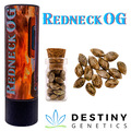 Sell: Redneck OG (feminized) 3 seeds per pack.