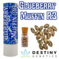 Sell: Glueberry Muffin R3 (feminized) 3 seeds per pack.