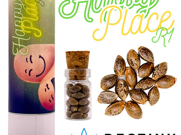 Sell: Happy Place R1 (feminized) 3 seeds per pack.
