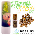 Sell: Happy Place R1 (feminized) 3 seeds per pack.