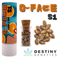 Venta: O-Face S1 (feminized) 3 seeds per pack.