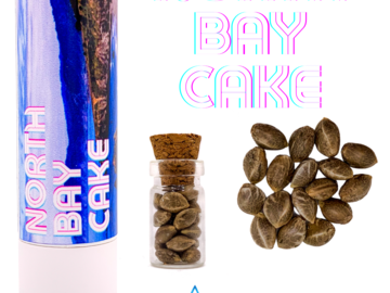 Vente: North Bay Cake (feminized) 3 seeds per pack.