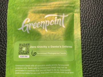 Vente: Zero Gravity x Dantes Inferno - Greenpoint