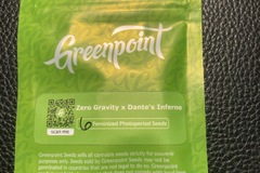 Sell: Zero Gravity x Dantes Inferno - Greenpoint