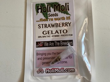 Vente: Strawberry Gelato Feminized Seeds