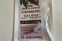 Sell: Strawberry Gelato Feminized Seeds