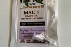 Vente: 6 FEMINIZED MAC ONE SEEDS