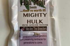 Venta: 6 FEMINIZED MIGHTY HULK SEEDS