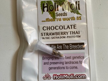 Vente: Chocolate Strawberry Thai F1 Feminized Seeds
