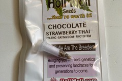 Sell: Chocolate Strawberry Thai F1 Feminized Seeds