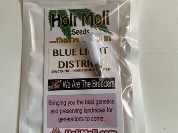 Vente: Blue Light District F1 Feminized Seeds