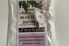 Venta: Blue Light District F1 Feminized Seeds