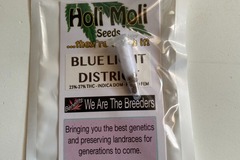 Vente: Blue Light District F1 Feminized Seeds