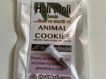 Vente: Animal Cookies Feminized Seeds