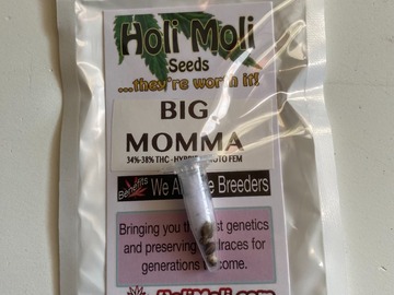 Vente: Big Momma Feminized Seeds