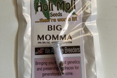 Venta: Big Momma Feminized Seeds