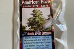 Sell: AMERICAN HAZE FEMINIZED SEEDS