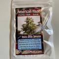 Sell: AMERICAN HAZE FEMINIZED SEEDS