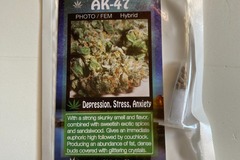 Sell: AK 47 Feminized Seeds