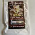 Venta: BLACK DOMINA FEMINIZED SEEDS