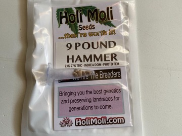 Venta: 9 Pound Hammer Feminized Seeds