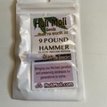 Sell: 9 Pound Hammer Feminized Seeds