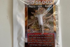 Vente: Do Si Dos Feminized Seeds