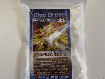 Venta: Blue Dream Autoflower Seeds