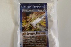 Venta: Blue Dream Autoflower Seeds