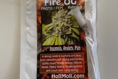 Sell: 6 FEMINIZED FIRE KUSH SEEDS