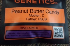 Sell: 808-Peanut Butter Candy
