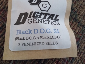 Vente: Black D.O.G. S1