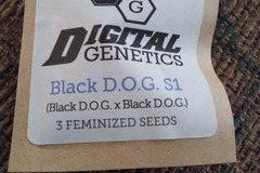 Sell: Black D.O.G. S1