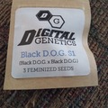 Sell: Black D.O.G. S1