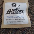 Vente: Black D.O.G. S1